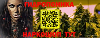 мяу мяу мука Нальчик
