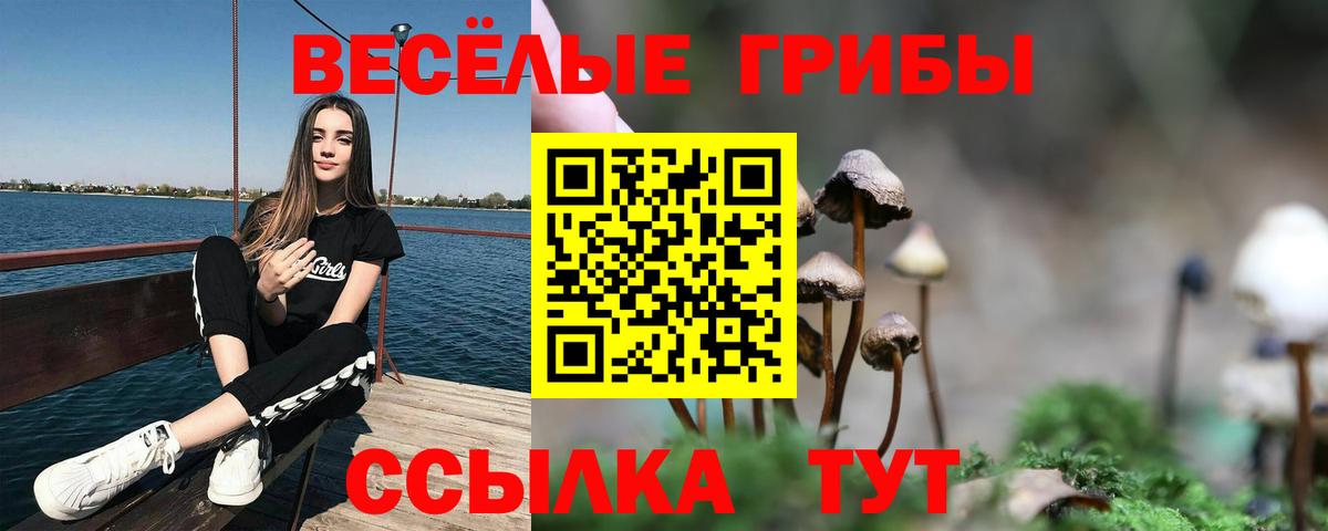 Галлюциногенные грибы мухоморы  Галлюциногенные грибы MAGIC MUSHROOMS  Вход с VPN  Долгопрудный 